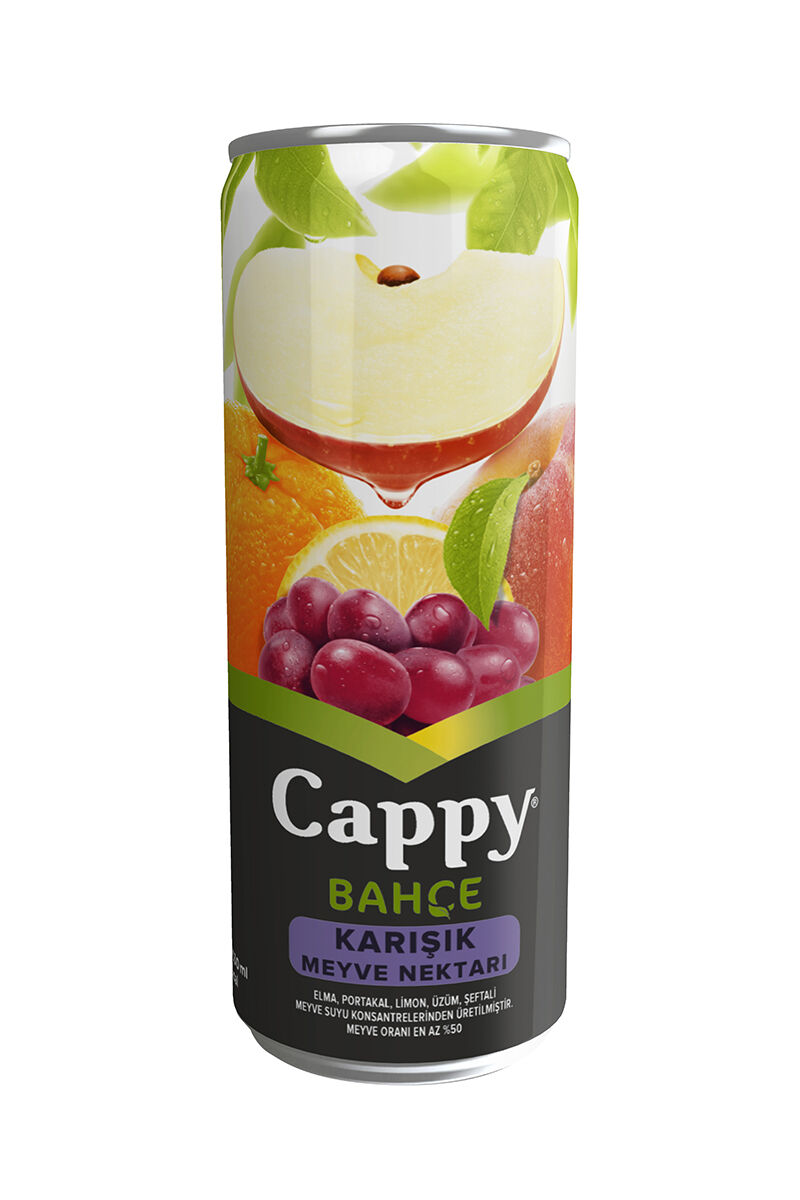 CAPPY MEYVE SUYU